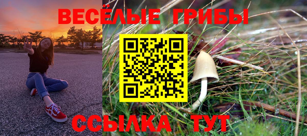Галлюциногенные грибы мухоморы Зеленодольск