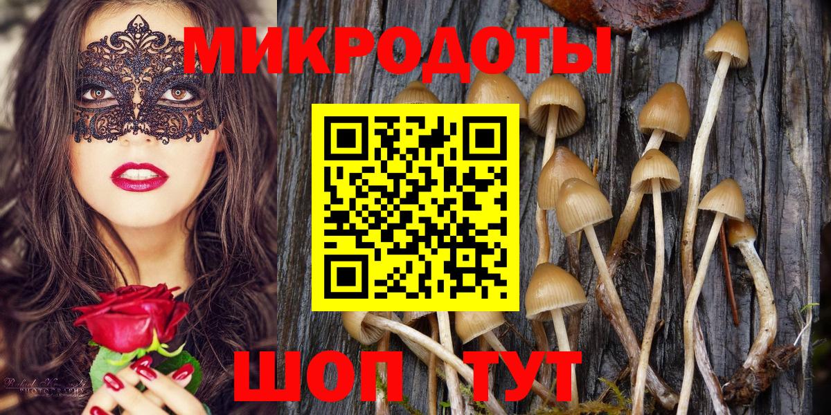 Зеленодольск  Псилоцибиновые грибы GOLDEN TEACHER  Вход с VPN 